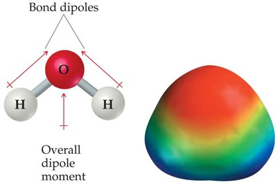 H2O bond dipoles and overall dipole moment