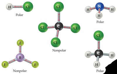 Examples of polar and nonpolar molecules