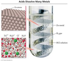 Acids dissolve many metals