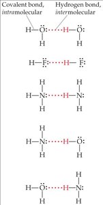 Hydrogen bonding in various molecules