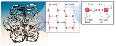 Hydrogen bonding in ice structure