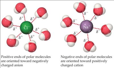 Ion-dipole interactions with water molecules