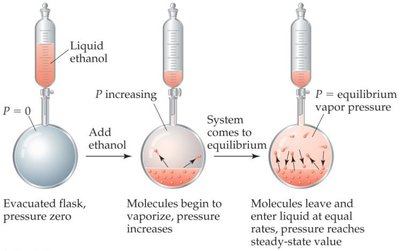 Establishing vapor pressure in a closed system