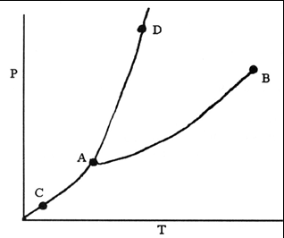 Phase diagram with labeled points
