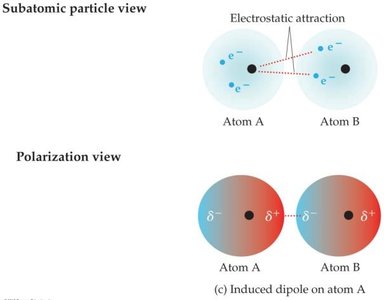 Induced dipole and electrostatic attraction