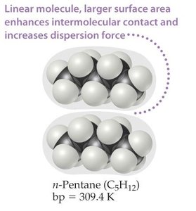 Linear molecule, larger surface area, stronger dispersion force