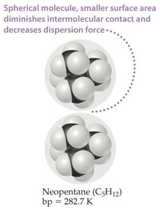 Spherical molecule, smaller surface area, weaker dispersion force