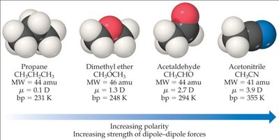 Boiling points and polarity of various molecules
