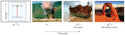 Examples of reactions with different time scales