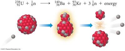 Nuclear fission of uranium-238