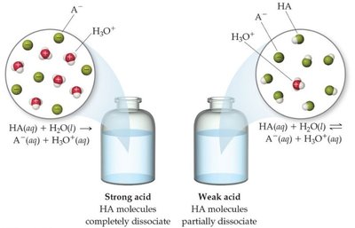 Strong vs. weak acid dissociation in solution