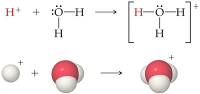 Proton transfer to water forming hydronium ion