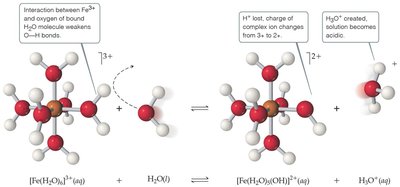 Hydrated metal cation acidification mechanism