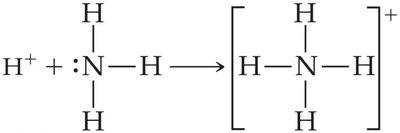 Lewis acid-base reaction: NH3 and H+