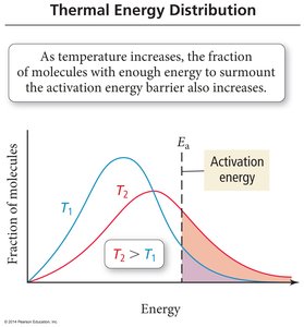 Thermal energy distribution and activation energy