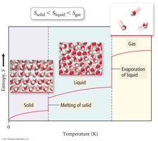 Entropy and molecular structure