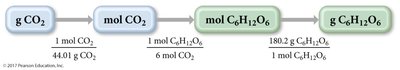 Example: mass-to-mass conversion for photosynthesis