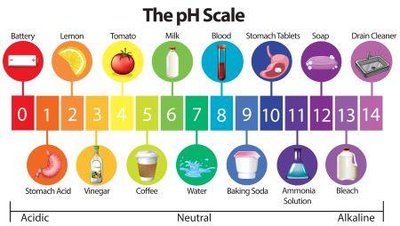 The pH scale with common substances