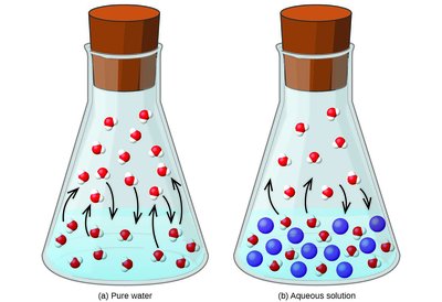 Molecular picture of pure water and aqueous solution