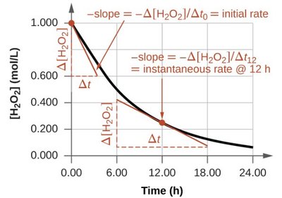 Graph showing instantaneous and average reaction rates