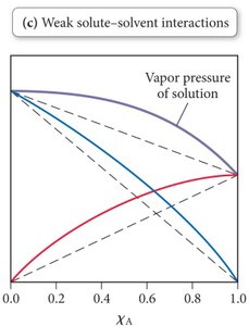 Vapor pressure graph for weak solute-solvent interactions
