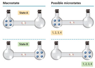 Gas expansion: microstates for different macrostates