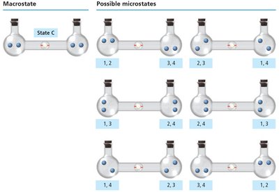 Gas expansion: microstates for different macrostates