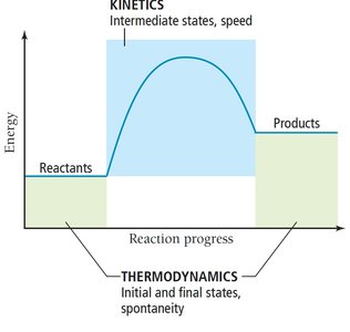 Thermodynamics vs kinetics energy diagram
