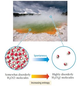 Evaporation: entropy increases