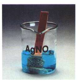 Copper in AgNO3 solution after reaction