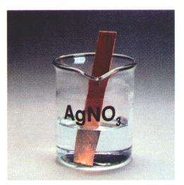 Copper in AgNO3 solution before reaction