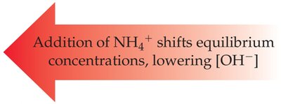 Addition of NH4+ shifts equilibrium, lowering [OH-]