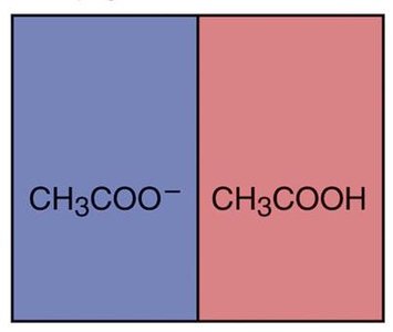 Buffer with equal concentrations of CH3COO- and CH3COOH