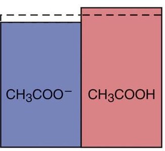 Buffer after addition of H3O+ (more CH3COOH, less CH3COO-)