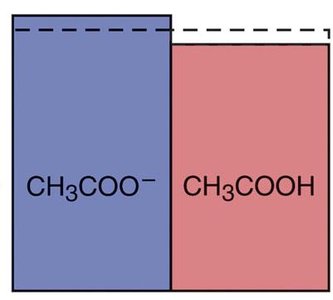 Buffer after addition of OH- (more CH3COO-, less CH3COOH)