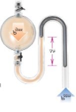 Open-ended mercury manometer diagram