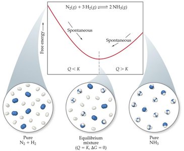Free energy and equilibrium in the Haber process