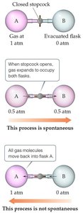 Gas expansion: spontaneous process and microstates