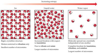 Microstates in ice, liquid water, and water vapor