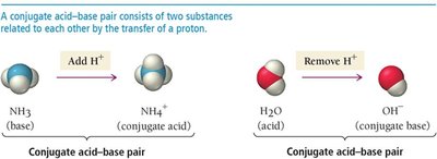 Conjugate acid–base pairs