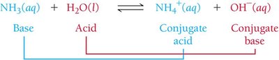 Conjugate acid–base pair reaction