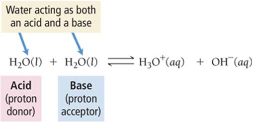 Water acting as both acid and base (autoionization)