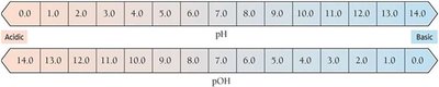 pH and pOH scale