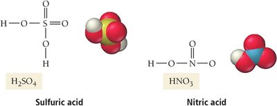 Sulfuric acid and Nitric acid structures and models