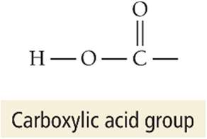 Carboxylic acid group structure
