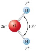 Water molecule showing bond angle and polarity