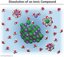 Dissolution of an Ionic Compound