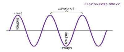 Transverse wave diagram