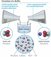 Formation of a buffer with acetic acid and sodium acetate