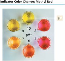 Indicator color change during titration